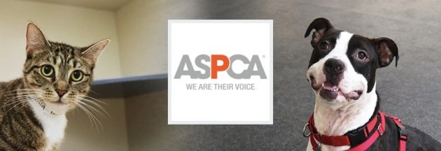 Aspca Donation