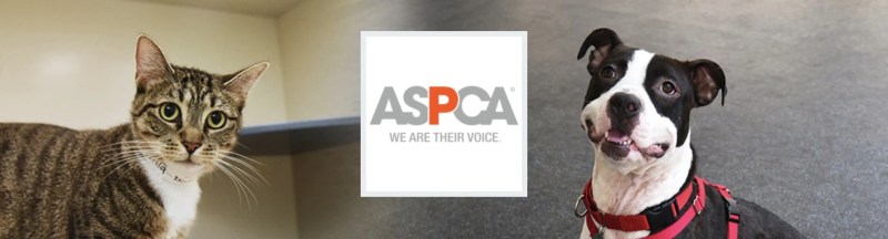 Aspca Donation