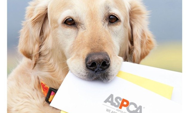 Aspca Gift Donation