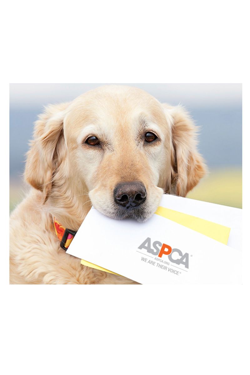 Aspca Gift Donation