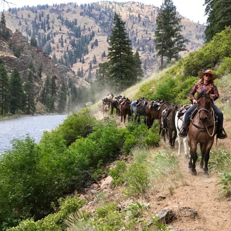 National Parks Foundation Donation