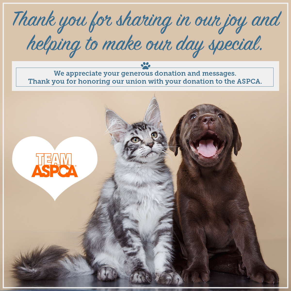 Donate Aspca